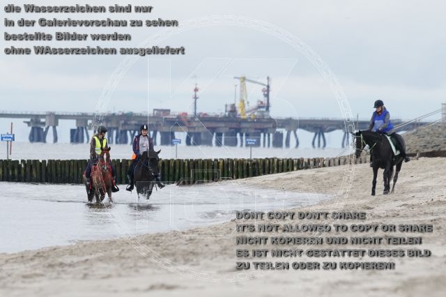 s_K3F04791.JPG